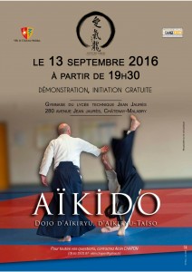 Démo initiation Aikiryu 13092016